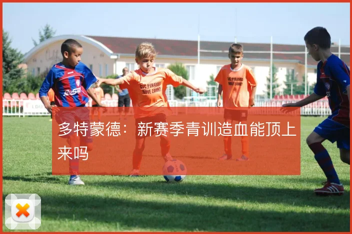 多特蒙德:新赛季青训造血能顶上来吗