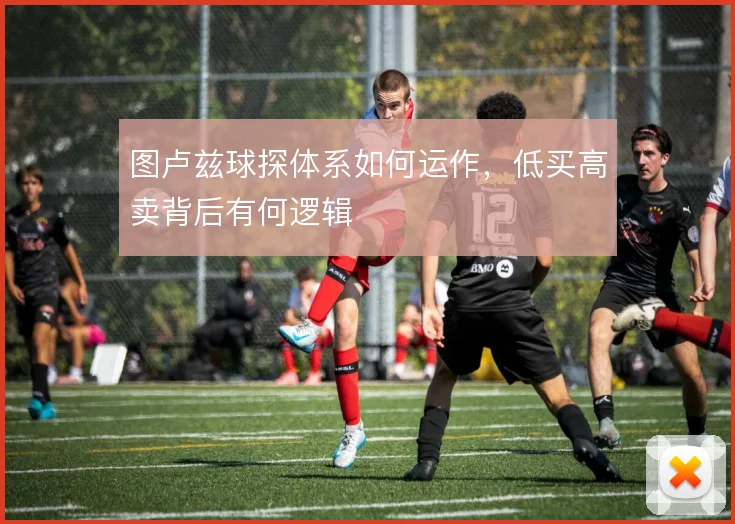 图卢兹球探体系如何运作,低买高卖背后有何逻辑