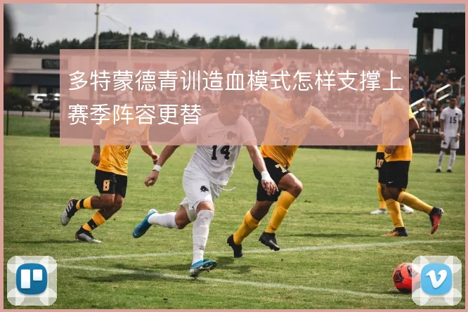 多特蒙德青训造血模式怎样支撑上赛季阵容更替