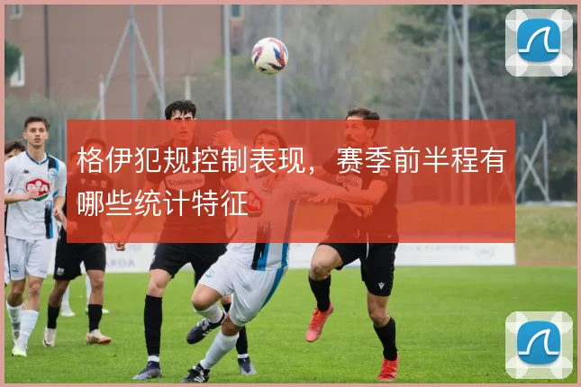格伊犯规控制表现,赛季前半程有哪些统计特征